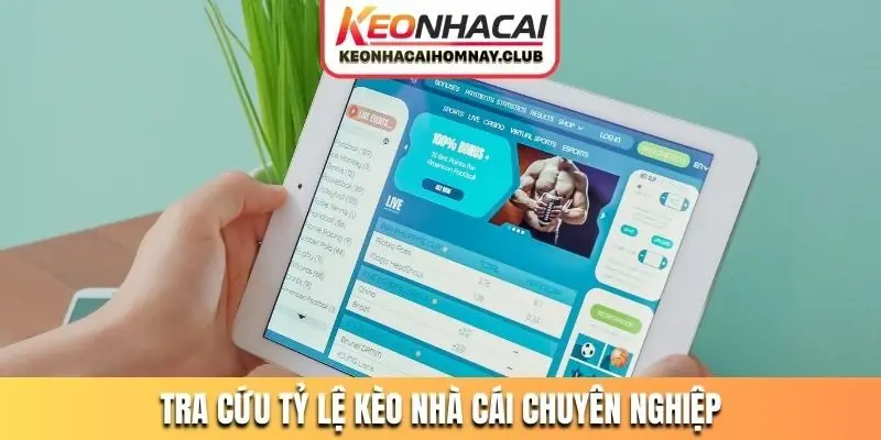 tra cuu ty le keo nha cai chuyen nghiep Tra cứu tỷ lệ kèo nhà cái như dân chuyên nghiệp