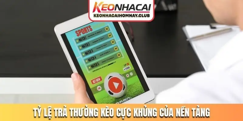 ty le tra thuong keo cuc khung cua nen tang Tỷ lệ kèo nhà cái cực xanh chín tại nền tảng